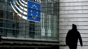 Korruptionsskandal um WM-Gastgeberland Katar ersch&uuml;ttert das EU-Parlament