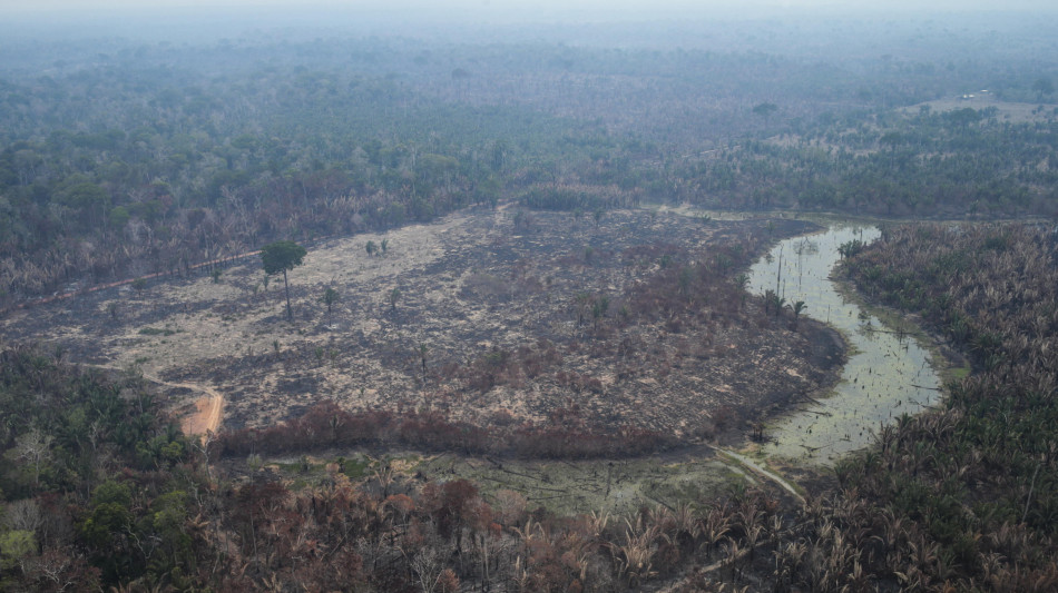 Brasile, deforestazione in Amazzonia ai minimi dal 1988