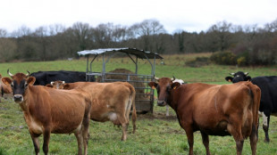 Loi d'urgence agricole: dissensions en vue au S&eacute;nat, le gouvernement s'inqui&egrave;te