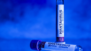 Hantavirus : beaucoup de questions avant le point de la ministre de la Sant&eacute;
