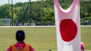 'Don't understand it, but it looks fun': cricket bowls Japan over