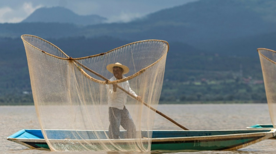 Mexique: op&eacute;ration sauvetage d'un lac au pays des bancs de poissons morts