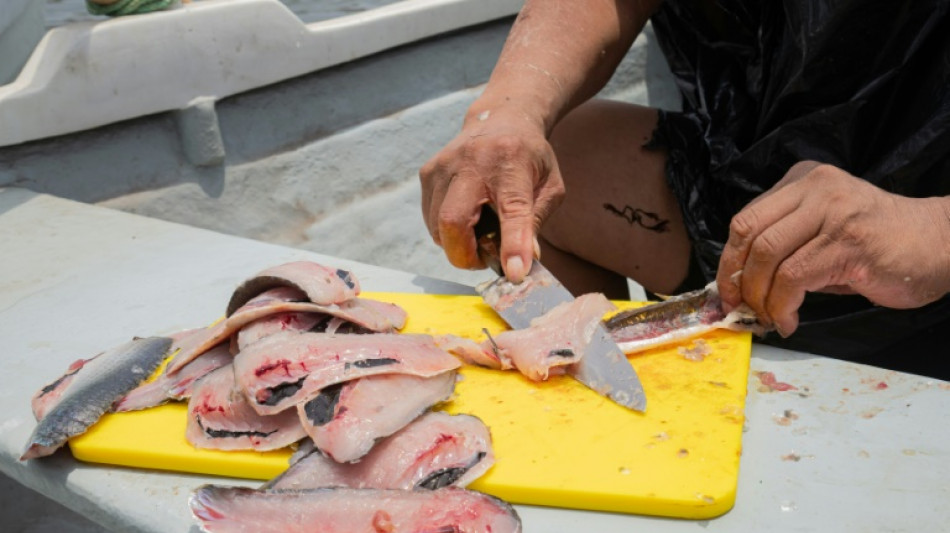 Ceviche e bolero aspiram a entrar no patrim&ocirc;nio imaterial da Unesco