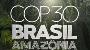 Premi&egrave;re COP en Amazonie, les dirigeants &agrave; Belem pour sauver la lutte climatique