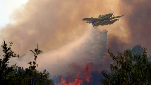 France and Spain battle 'unpredictable' wildfires as 300,000 evacuated