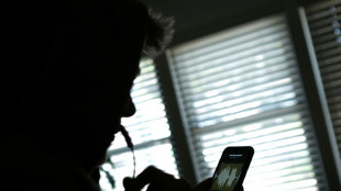 Schlag gegen Internetkriminalität: 3500 von Betrügern genutzte Rufnummern abgeschaltet