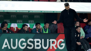 El Augsburgo despide a su entrenador tras solo cinco meses