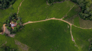 En Colombie, des habitants traumatis&eacute;s par le conflit arm&eacute; s'appr&ecirc;tent &agrave; voter