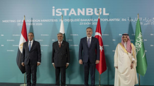 European, Mideast foreign ministers hold talks in Istanbul