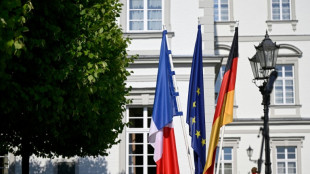 Paris et Berlin veulent "rebondir" sur la d&eacute;fense et faire oublier l'&eacute;chec de leur avion commun