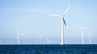 North Sea nations vow to boost wind power for energy independence